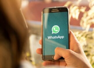 Nueva función de WhatsApp, las tres palomitas que protegerán tu privacidad