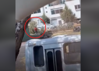 Sanción Social pide ayuda para ubicar a chófer que huyó tras provocar la muerte de personas