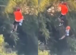 Niño de 6 años cae de tirolesa a más de 10 metros de altura