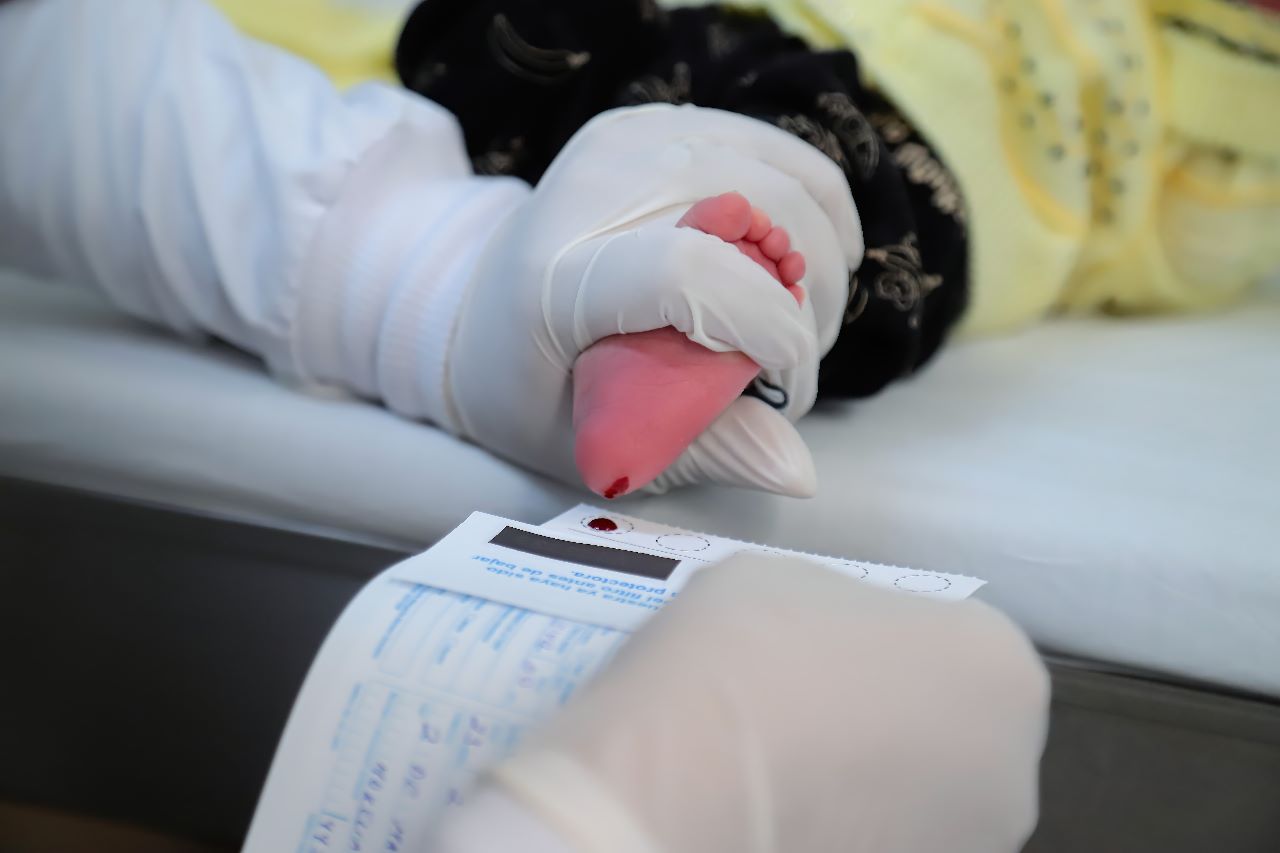 WhatsApp Image 2023-06-05 at 09.51.55