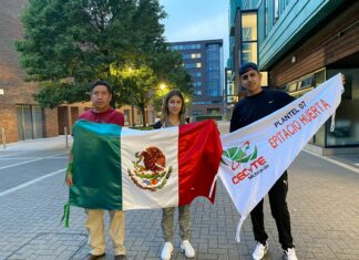 De México para el mundo estudiantes del Cecytem presentan proyecto en Inglaterra
