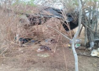 Desmantelan campamento clandestino en Apatzingán