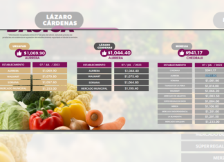 Michoacán disminuye la inflación en alimentos un 6.6%