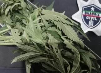 Guardia Civil detiene a 10 personas con droga