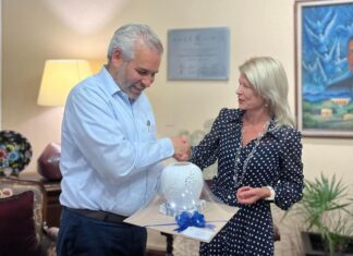 Bedolla fortalece relación con Finlandia y Austria para la inversión en Michoacán