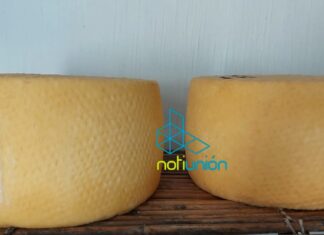 Cotija tendrá ruta del queso y atraerá turismo a la región