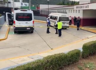 Balean combi de la ruta gris, hay una persona sin vida