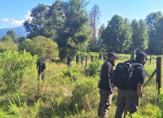 Amanece un hombre sin vida en la carretera a Cuto de la Esperanza en Morelia