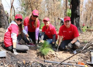 Voluntarios Oxxo realizan reforestación en área natural protegida