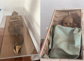 Las Enigmáticas Momias de Morelia Te Esperan este Tenebroso Octubre