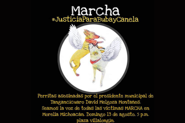 Diseño sin título (3)