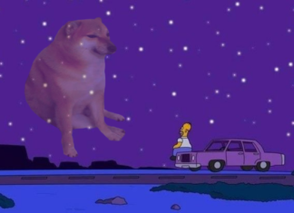 ¡Adiós Vaquero! Muere Cheems, el perrito de los memes y stickers