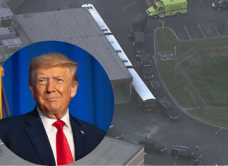 Donald Trump se entrega en la cárcel del condado de Fulton en medio de acusación por interferencia electoral