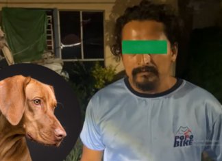 Detenido en Tarímbaro por maltrato animal y acusaciones de ‘cementerio’ de mascotas