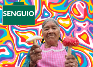 Este fin de semana disfruta de la Feria del Hongo 2023 en Senguio