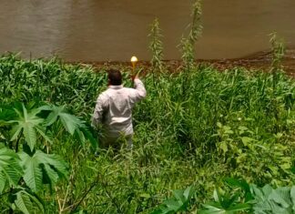 SSM y Coalcomán van por certificación de área libre de paludismo