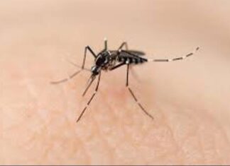 ISSSTE invita a tomar precauciónes y estar alerta para prevenir el dengue