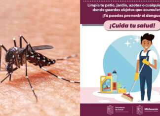SSM mantiene acciones permanentes contra el dengue
