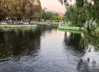 El agua, recurso estratégico; se protegerán 50 manantiales: Méndez