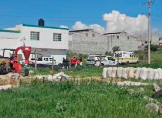 Localizan a tres hombres ejecutados en Las Trojes, Álvaro Obregón