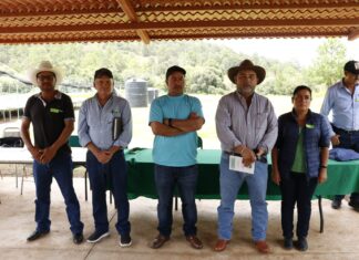 Renovación de mesa directiva de La Unión de Silvicultores de la región centro de Michoacán lista para trabajar