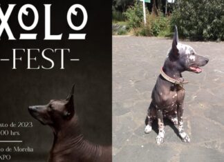 Se acerca el «Xolo Fest» este sábado 19 de agosto