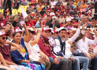Plan Morelos, una ventana para democratizar al Poder Judicial: Celis