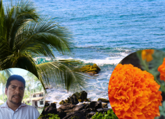 Desde las playas de Guerrero hasta las montañas y lagos de Michoacán, turistas internacionales visitarán México