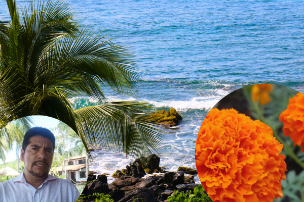 Formato 600x400 (31)