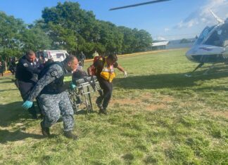 Niño atropellado en puesto de tacos es trasladado vía aérea al hospital