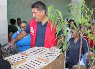 Entrega Buen Gobierno de Tarímbaro apoyos para la autoproducción alimentaria