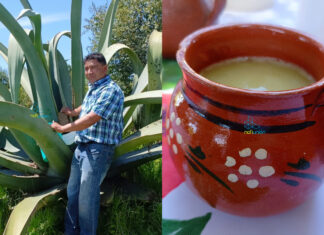 Descubre el proceso del pulque en la comunidad Cuatro Caminos de Tlalpujahua