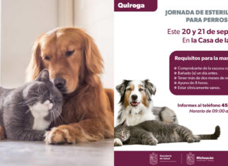 Ven y esteriliza a tu perro o gatito en Quiroga