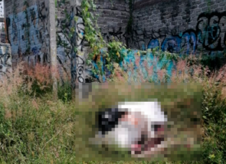 #Morelia Localizan a un hombre sin vida envuelto en una cobija