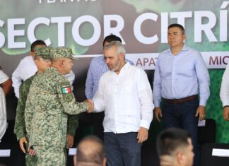 Arranca en Michoacán, Plan Agronómico Integral y Estratégico en el Sector Citrícola Nacional