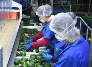 Nuevo Hospital Regional de Uruapan: Acceso a Seguridad Social para Trabajadores de la Agroindustria