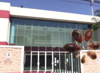 Alumnos de la facultad de psicología de la UMSNH denuncian plaga de chinches