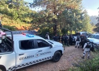 Guardia Civil detiene a presunto integrante de célula delictiva, en Ocampo