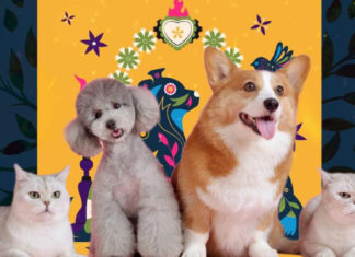 Habrá altares para tus mascotas en #Morelia
