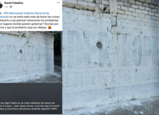 David Ceballos denuncia vandalismo en bardas y exige respeto a la propiedad privada