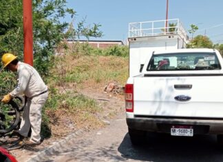 SSM suma más de un millón de acciones para combatir el dengue