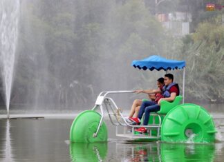 Aventúrate a navegar en el lago del ZooMorelia