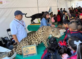 Zoo de Morelia fomenta la educación ambiental