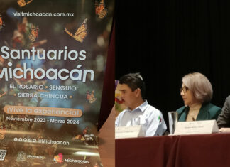 Disfruta de la Mariposa Monarca en Michoacán