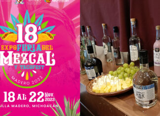 Disfruta de 18ª Expo Feria del Mezcal y Taco Fest 2023 en Villa Madero