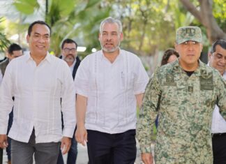 Avanza estrategia para regular corte y empaque de limón: Bedolla