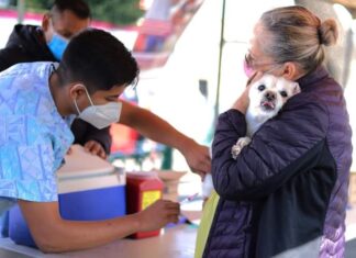 Arranca SSM vacunación antirrábica en centro de salud de Morelia