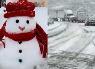 Llego la nieve a Querétaro y Zacatecas