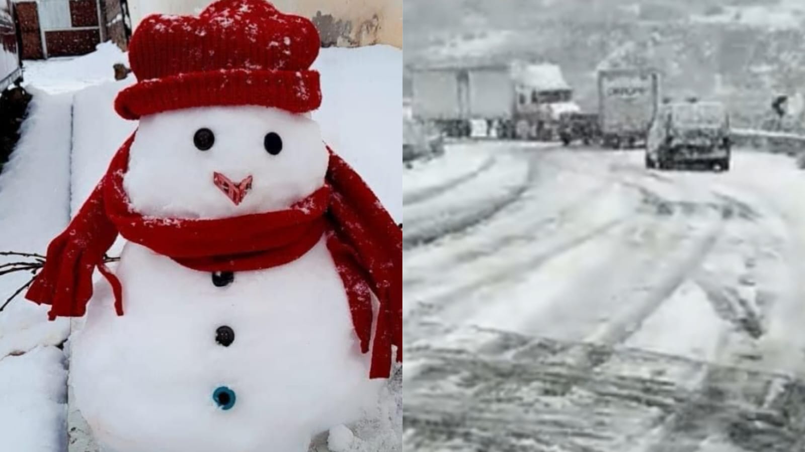 WhatsApp Image 2023-11-23 at 11.57.57 AM