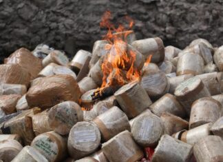 Estrategia de seguridad en Michoacán, permite incineración de más de una tonelada de drogas: SSP